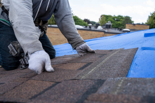 Best Roof Waterproofing Services  in Highland Park, MI