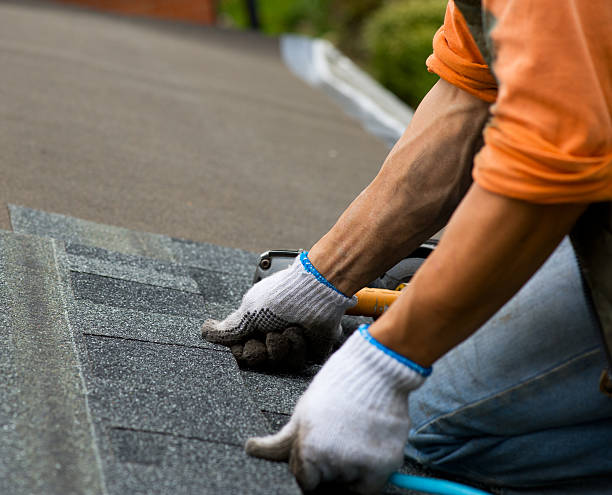 Best Roof Maintenance Services  in Highland Park, MI