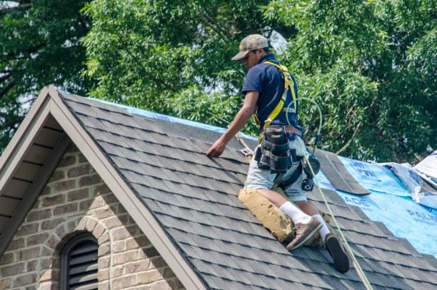 Best Roof Repair Services  in Highland Park, MI